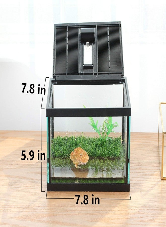 crapelles Small Glass Frog Terrarium Kit, 7.8x7.8x5.9'' for Tadpole, Amphibians, Insects Enclosure, Praying Mantis Habitat, with Green Artificial Turf Pad (excluding Animals) - Image 2